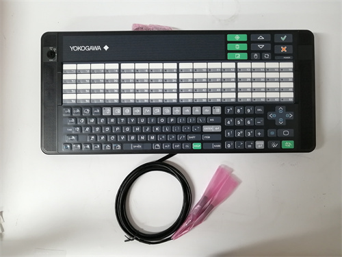 YOKOGAWA AIP830-11