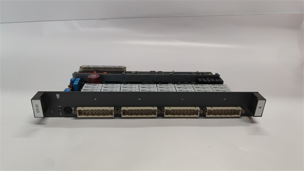 3BDH000741R1.袁翠竹.20230609_135523 (15).jpg