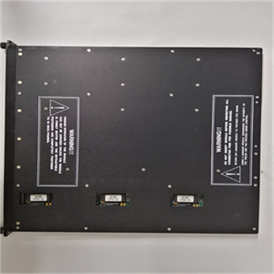 TRICONEX 3805E (1).jpg