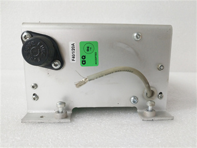 ABB DSSR122 4899001-NK (2).jpg