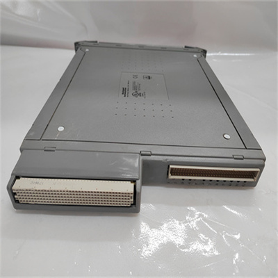 T8310(4).jpg