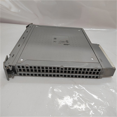 T8310(3).jpg