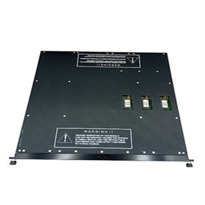 TRICONEX 3636R.jpg