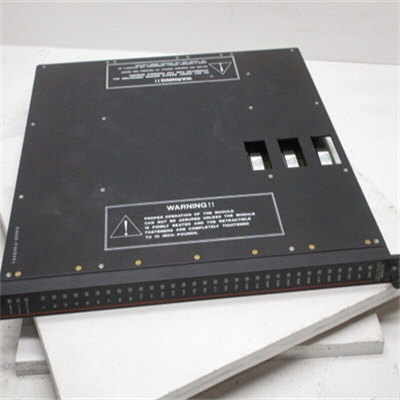 TRICONEX 3501E    2.jpg