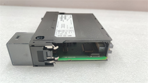 1756-IB32.袁翠竹.20221101_155336 (12).jpg