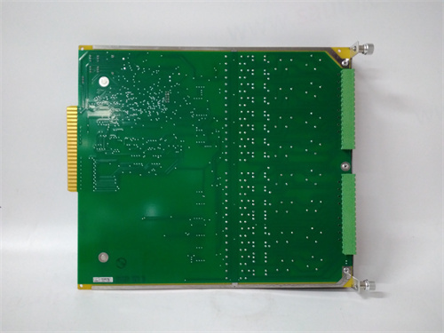 IOP351 -1.jpg