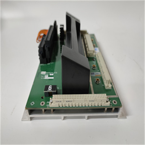 TRICONEX 2481（3）.jpg