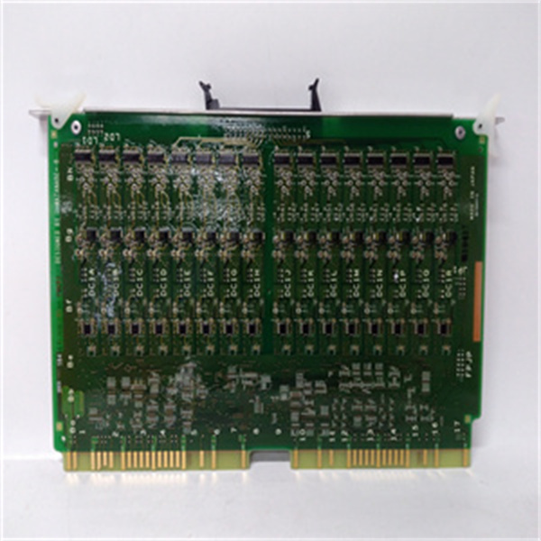 LYA010A (4).jpg