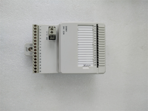 DO801.袁翠竹.20240402 (2).jpg