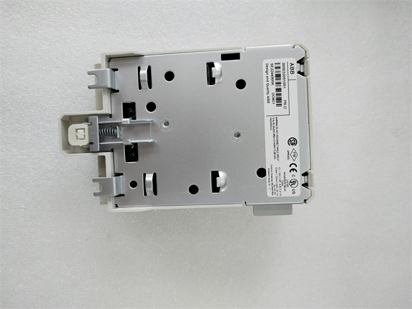 DO801.袁翠竹.20240402 (3).jpg