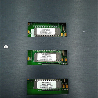 TRICONEX 3636R.2.jpg