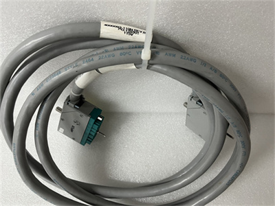 TRICONEX 4000093-110N (1).jpg