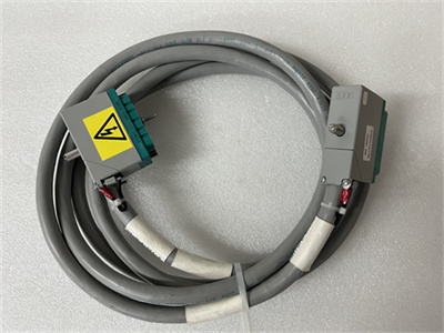 TRICONEX 4000093-110N (2).jpg