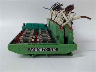 9662-1 -1.jpg