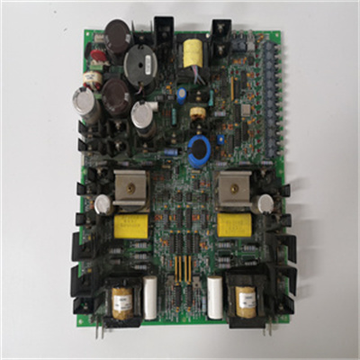 DS200FGPAG1AHD(1).jpg
