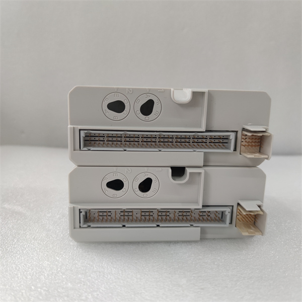 AI810 3BSE008516R1.张兴建.20240926 (29).jpg