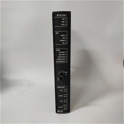 TRICONEX 3101（2）.jpg