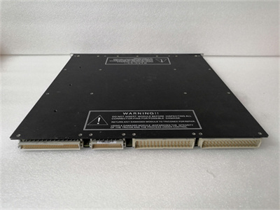 TRICONEX 3625A (6).jpg