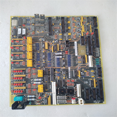 DS200TCQCG1AJD.肖仁娟.20240627.174137 (2).jpg
