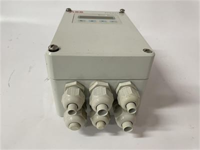 ABB PFEA112-65 3BSE030369R0065 (2).jpg