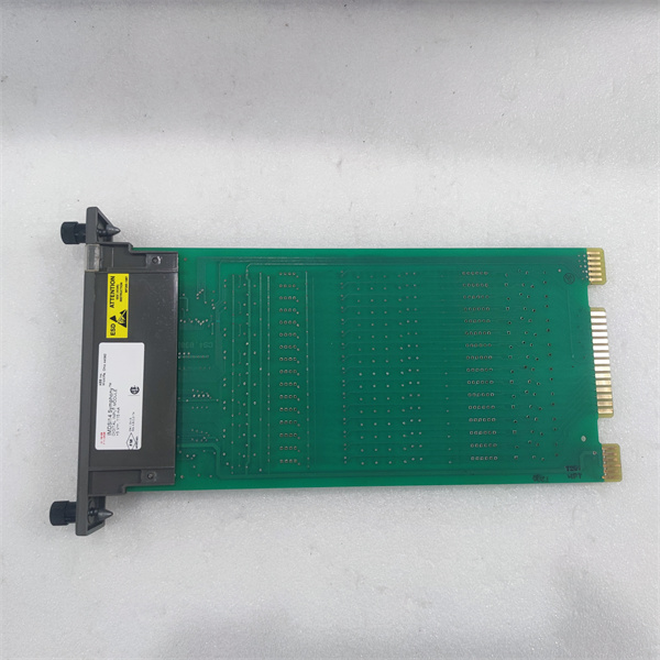 IMDSI14.袁翠竹.20240527. (8).jpg