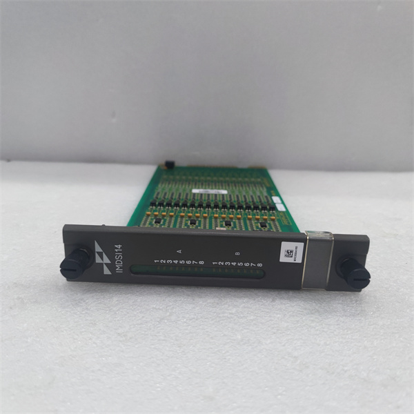 IMDSI14.袁翠竹.20240527. (9).jpg