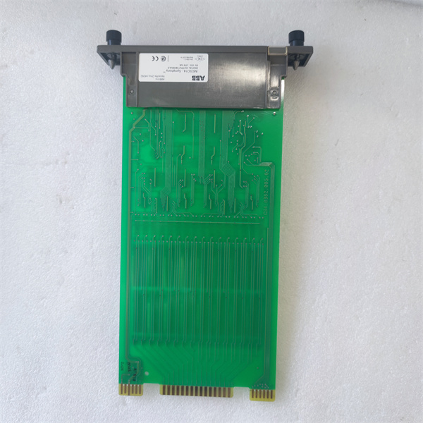 IMDSO14.20240521.袁翠竹 (28).jpg