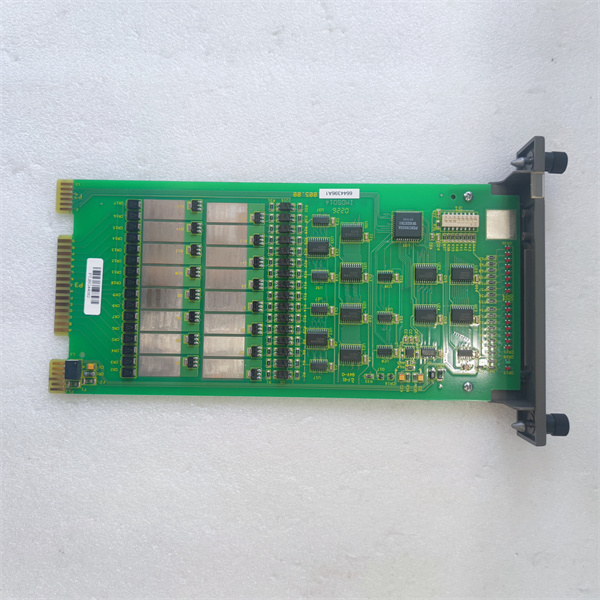 IMDSO14.20240521.袁翠竹 (27).jpg