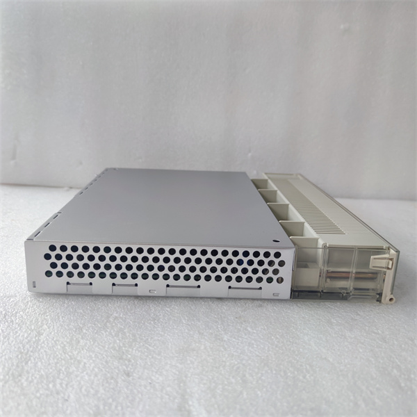 DI651. 0240626 (15).jpg