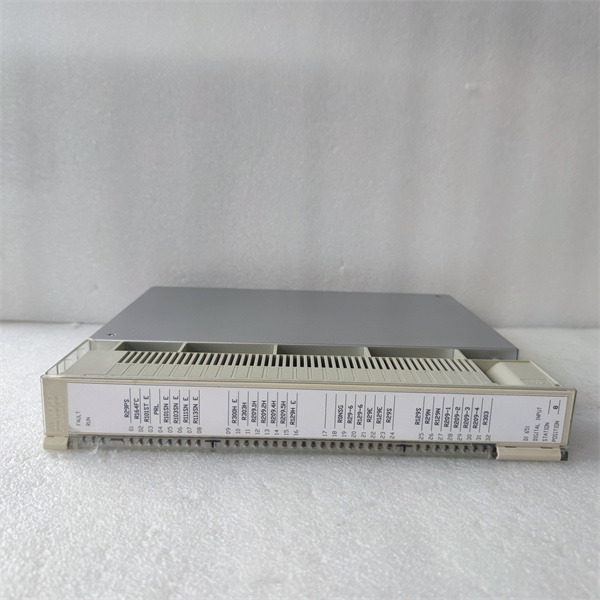 DI651. 240626 (14).jpg