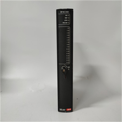 <strong>TRICONEX 3401</strong>
