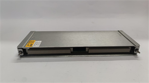 <strong>Bently Nevada 125800-01</strong>
