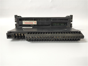 <strong>GE  IC660TBD025</strong>