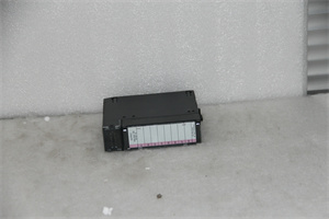 <strong>GE  IC693MDL231</strong>